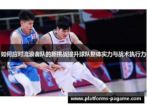 如何应对流浪者队的新挑战提升球队整体实力与战术执行力