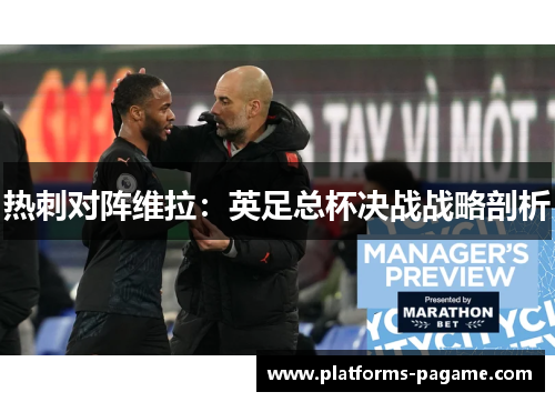 热刺对阵维拉：英足总杯决战战略剖析