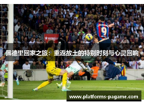 佩德里回家之旅：重返故土的特别时刻与心灵回响