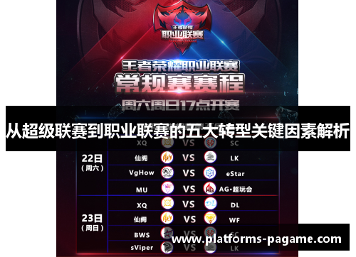 从超级联赛到职业联赛的五大转型关键因素解析