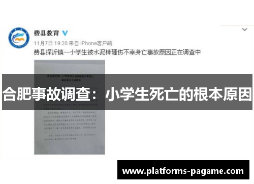合肥事故调查：小学生死亡的根本原因