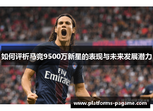 如何评析马竞9500万新星的表现与未来发展潜力