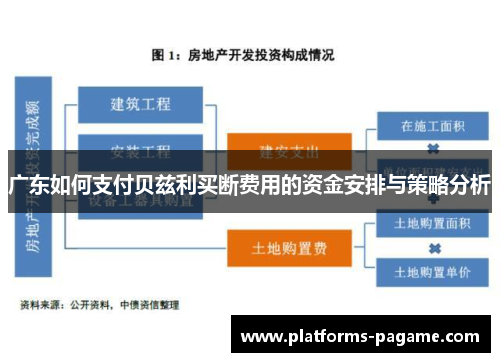 广东如何支付贝兹利买断费用的资金安排与策略分析