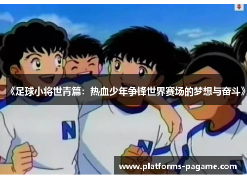 《足球小将世青篇：热血少年争锋世界赛场的梦想与奋斗》