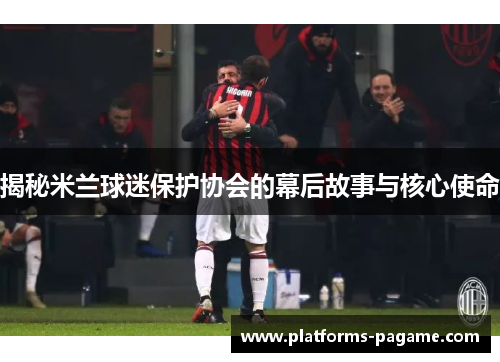 揭秘米兰球迷保护协会的幕后故事与核心使命