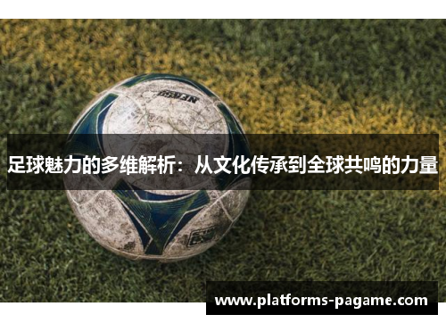 足球魅力的多维解析：从文化传承到全球共鸣的力量