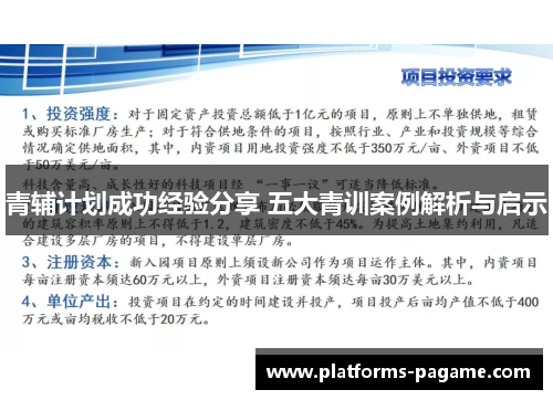 青辅计划成功经验分享 五大青训案例解析与启示