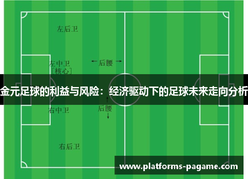 金元足球的利益与风险：经济驱动下的足球未来走向分析