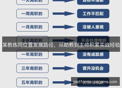 某教练同位置发展路径，从助教到主帅积累实战经验